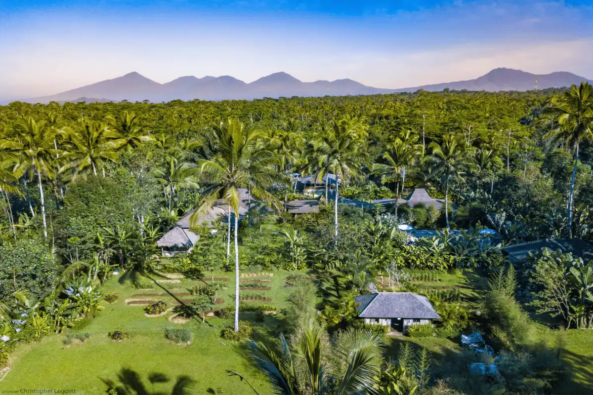 Aerial view of Nag Shampa Private Estate in Bali, surrounded by a lush tropical jungle with mountain views.
