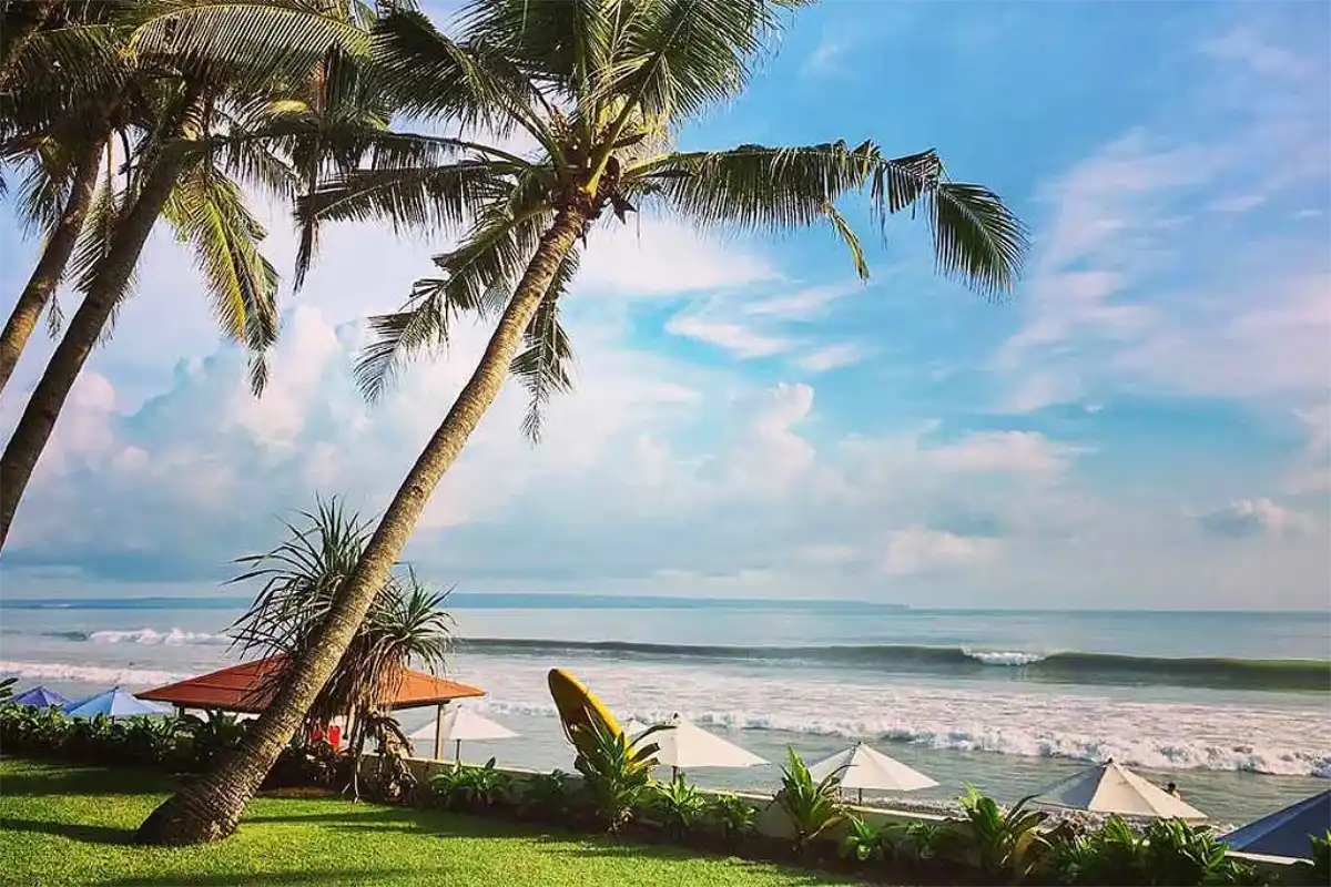 Beachfront garden and surfboard resting by palm trees at Legong Keraton Beach Hotel in Berawa Canggu